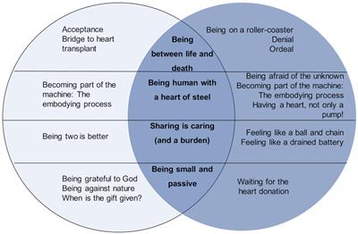 “The heart in a bag”: The lived experience of patient-caregiver dyads with left ventricular assist device during cardiac rehabilitation